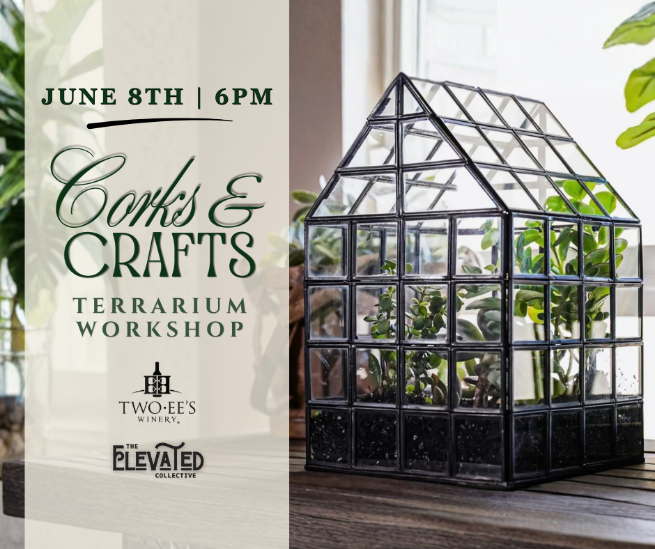 Corks & Crafts: A Terrarium Workshop
