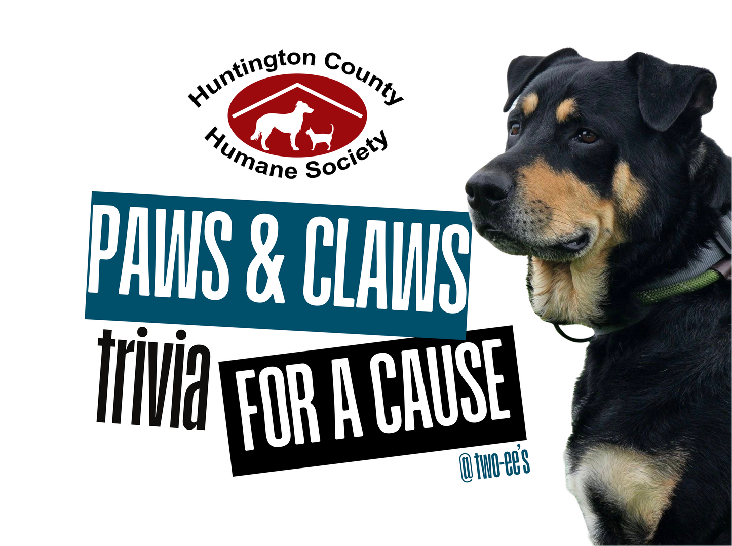 Trivia for a Cause: Paws & Claws Night