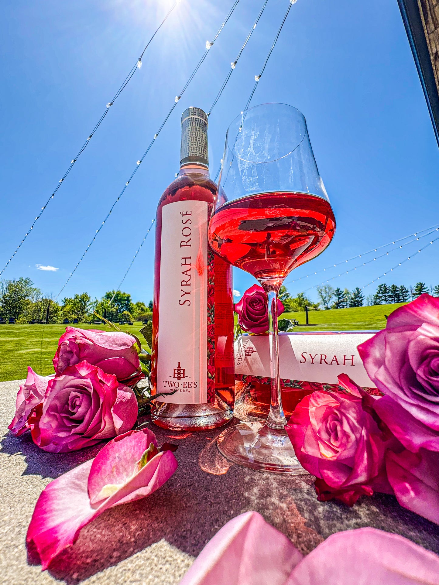 2025 Syrah Rosé
