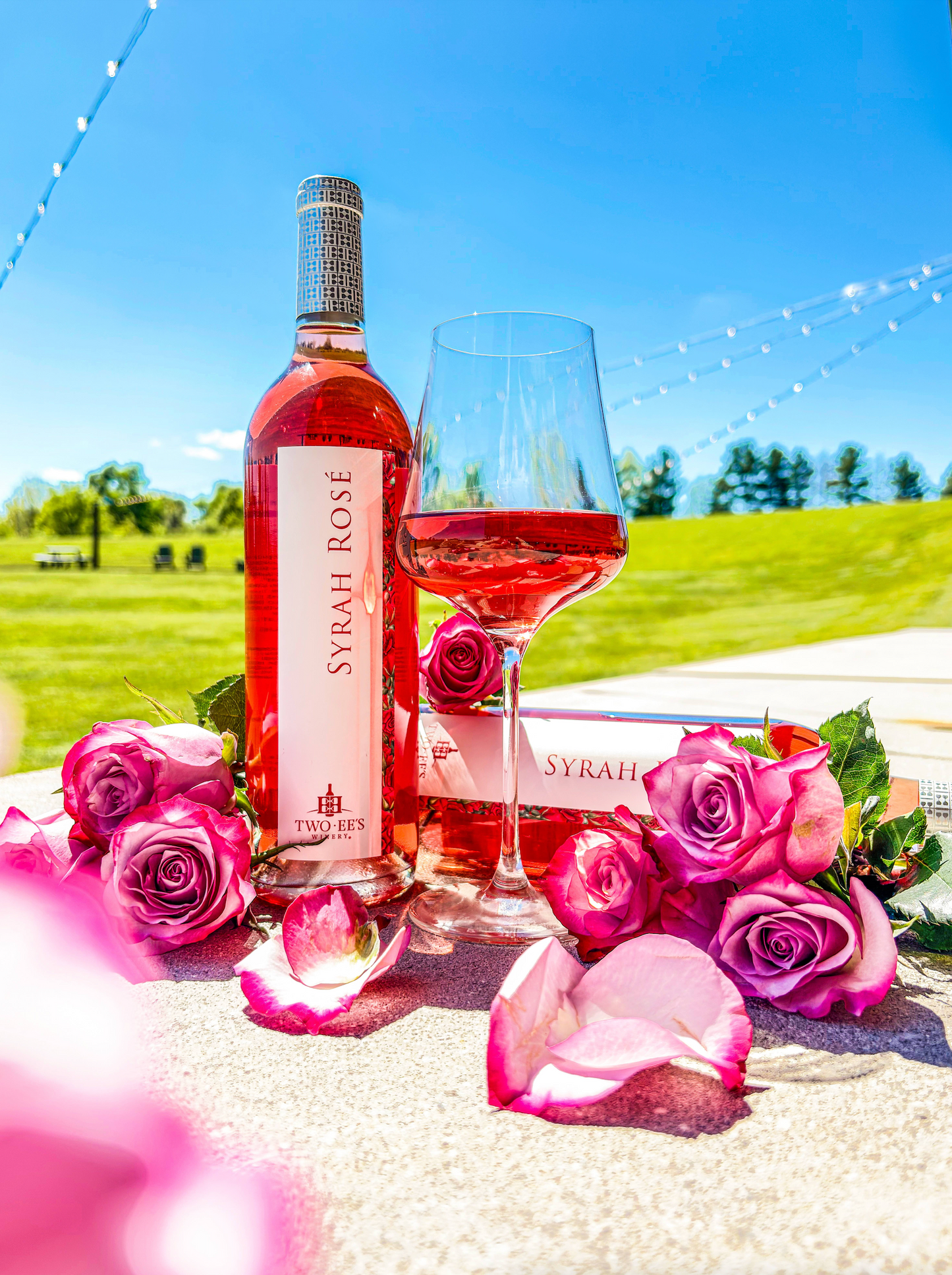 2025 Syrah Rosé